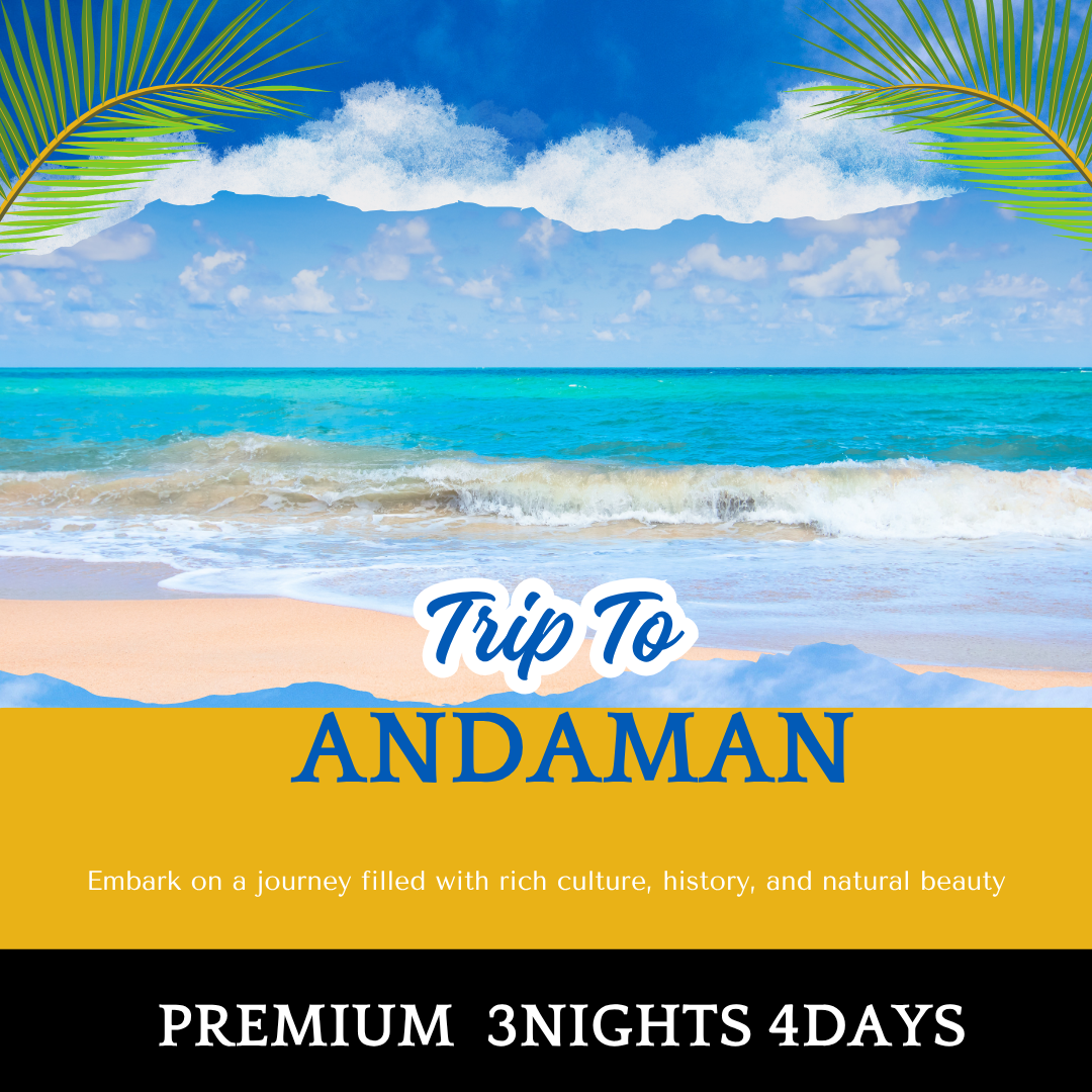 Premium Packages