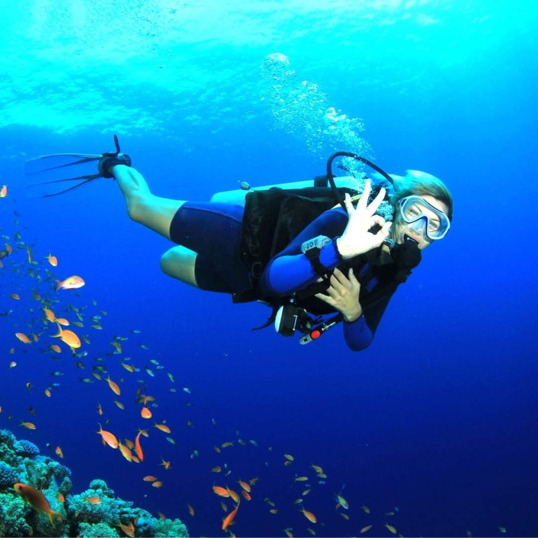 Scuba Diving North Bay