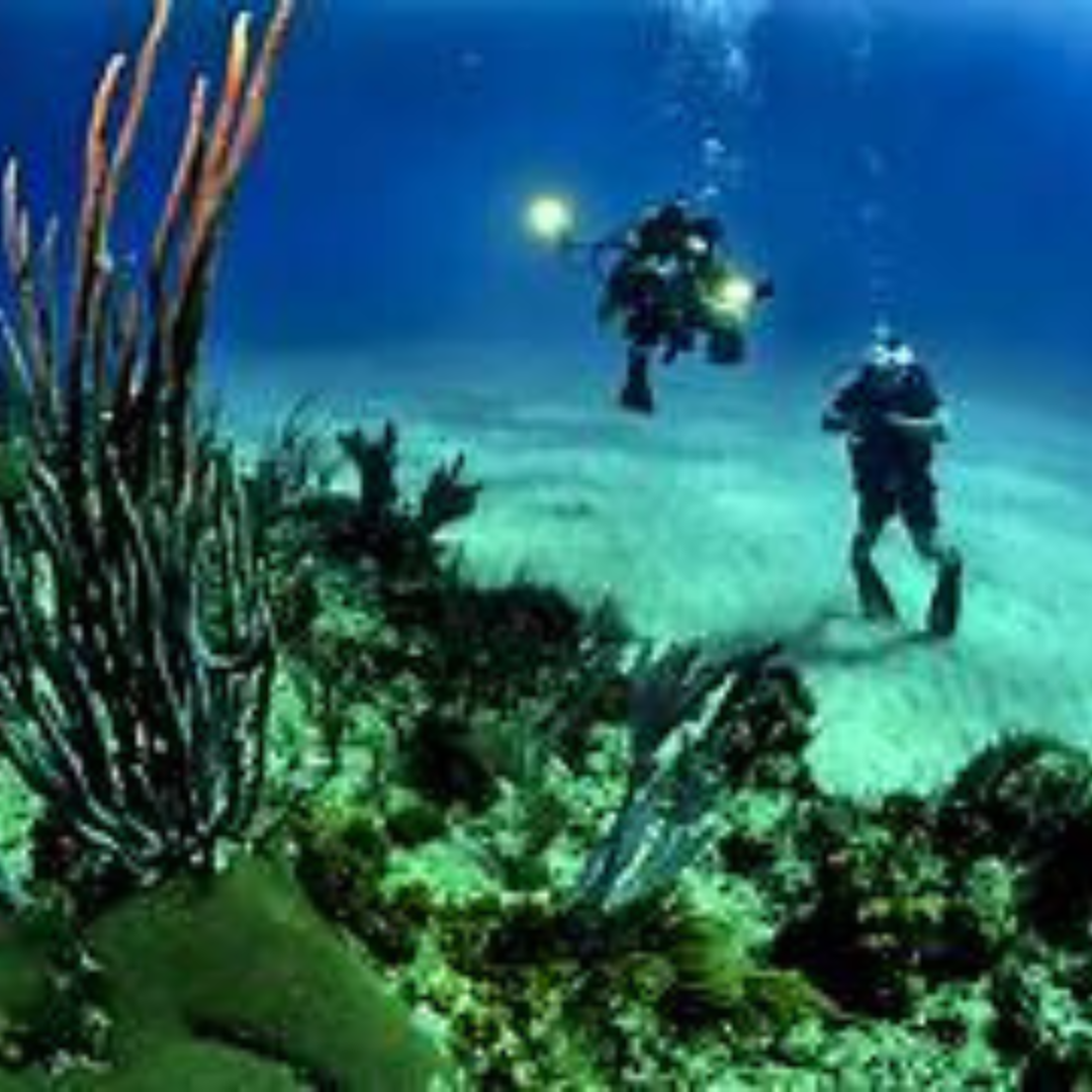 Scuba Diving Neil Island