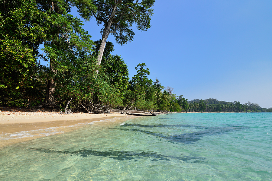 corbyn’s cove beach