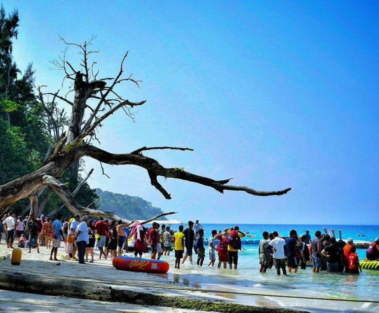 Elephant Beach