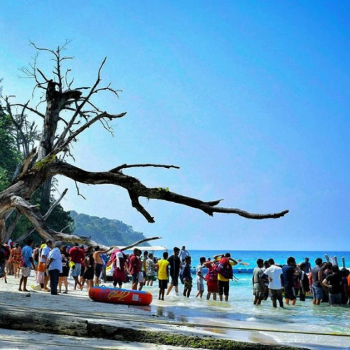 Elephant Beach Water Activities