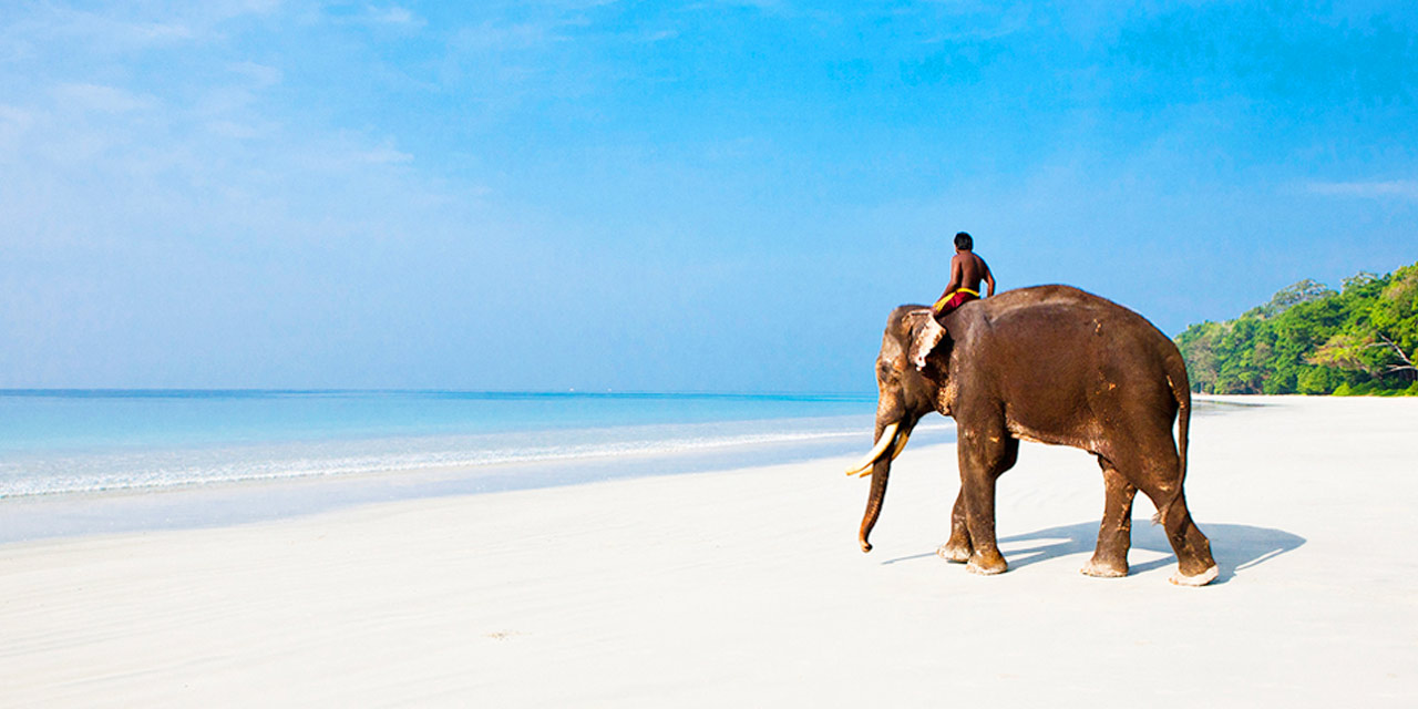 Elephant Beach Havelock Island View