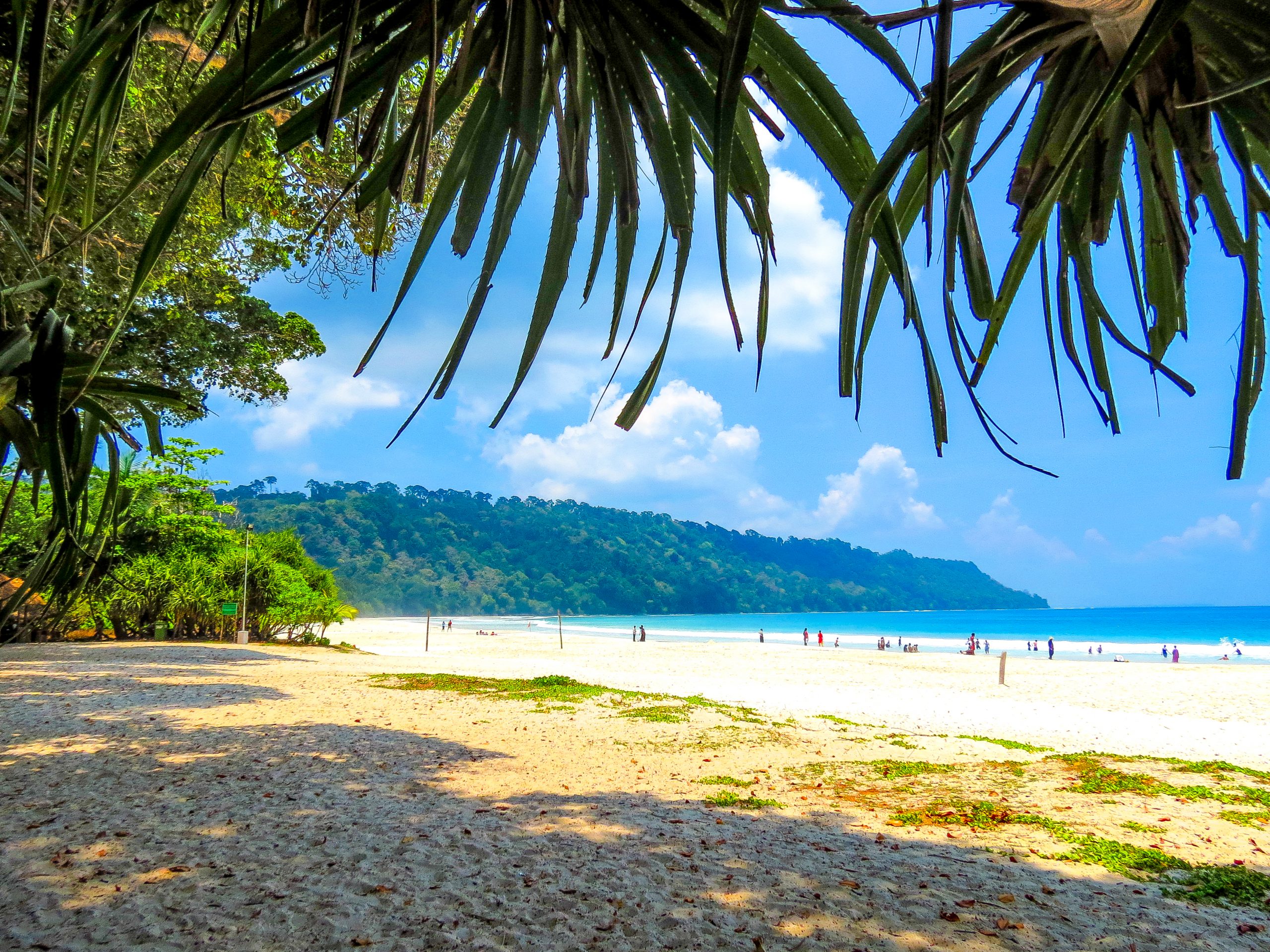 Radhanagar Beach Havelock Island