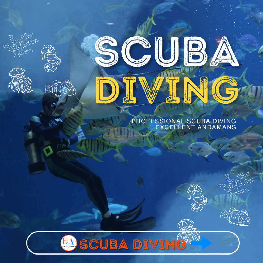 WATER ACTIVITY SCUBA DIVING IN ANDAMAN