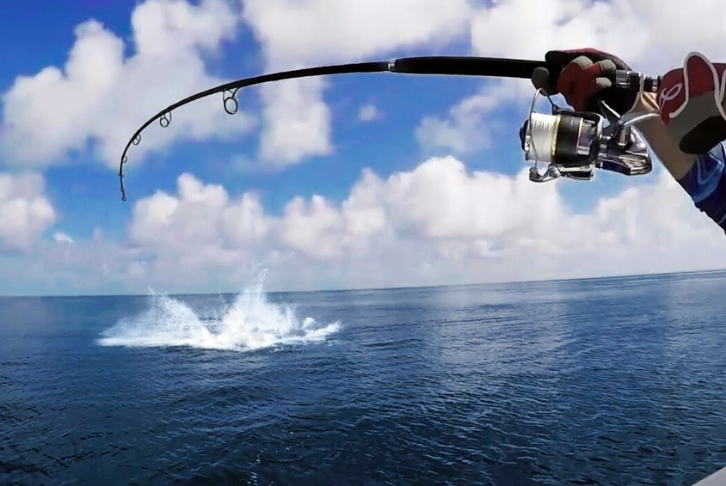Game Fishing in Havelock