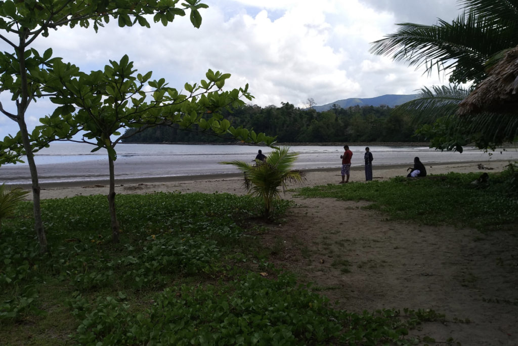 Kalipur Beach Diglipur coastal view North Andaman