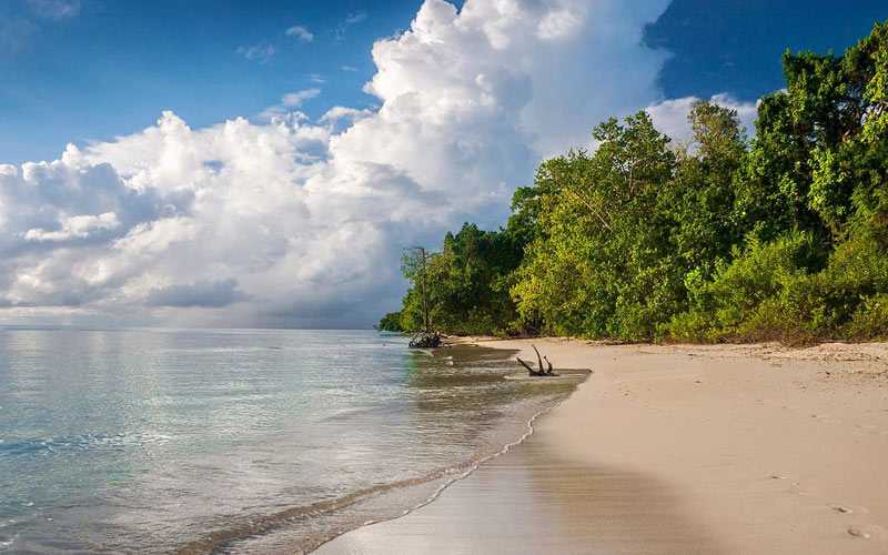 Lamiya Bay Beach in North Andaman