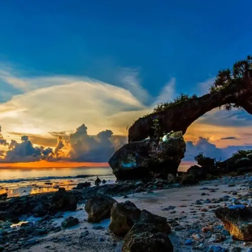 neil island sightseeing tour