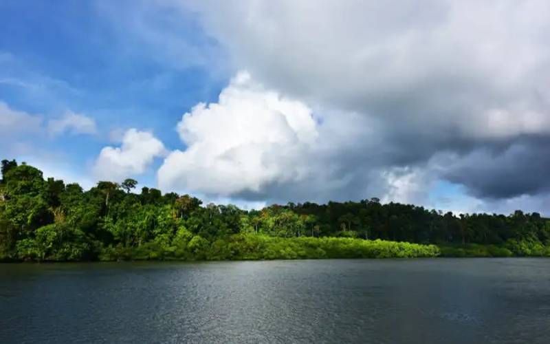 Parrot Island in Baratang 2