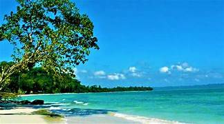 Untouched Patti Level Beach in North Andaman