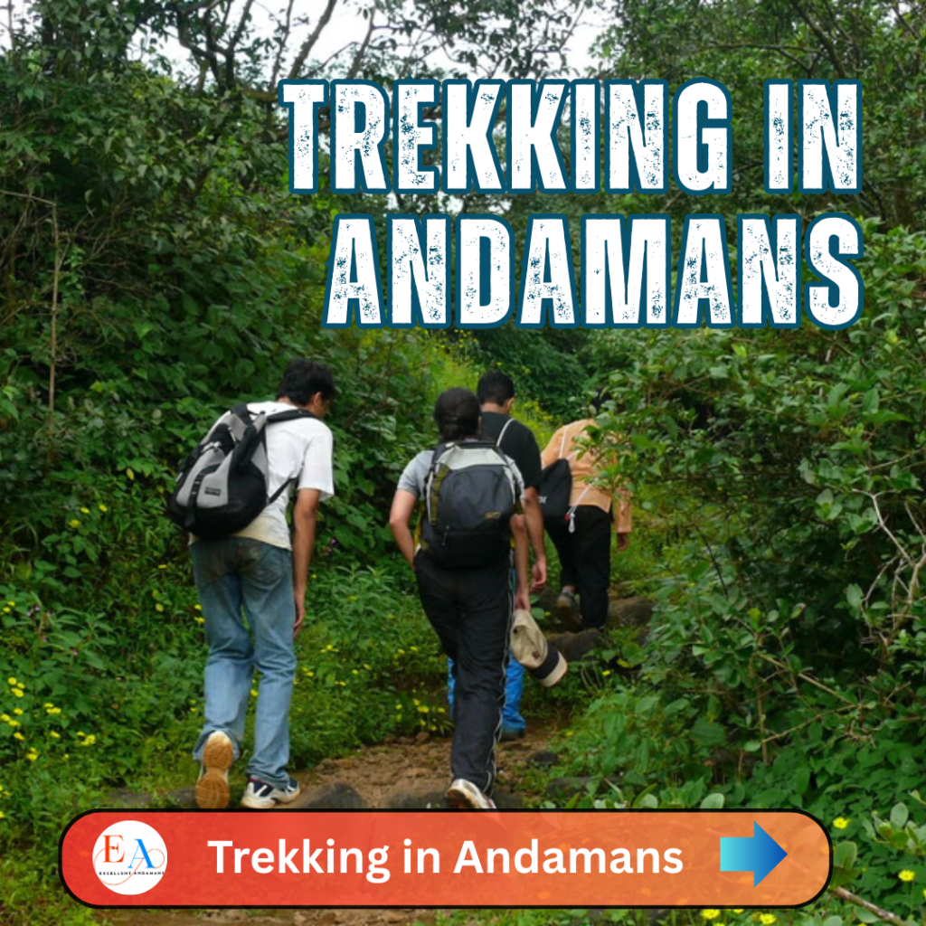 Trekking in Andamans