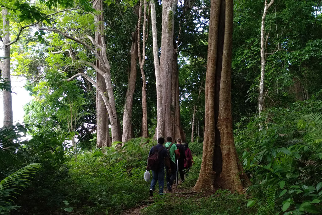 Trekking to Elephant Beach