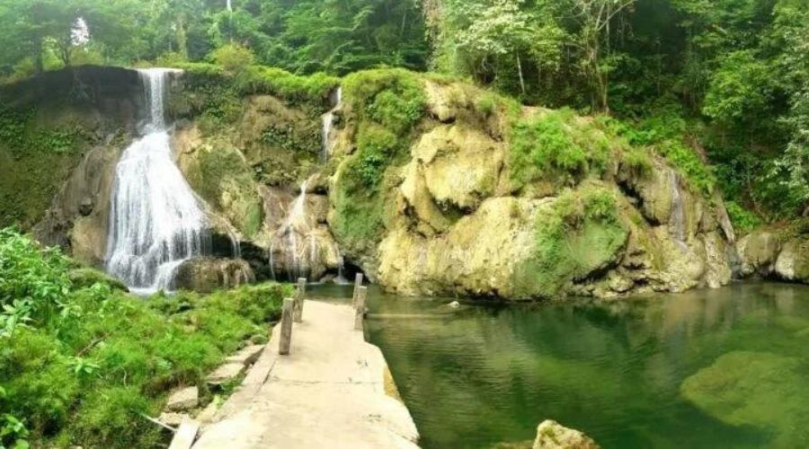 Whisper Wave Waterfall in dense rainforest