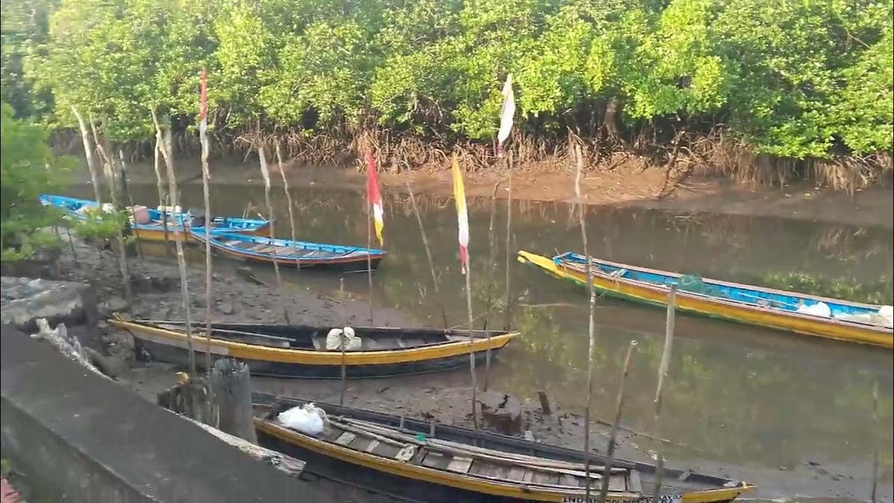 Mangrove at Yeratta Creek
