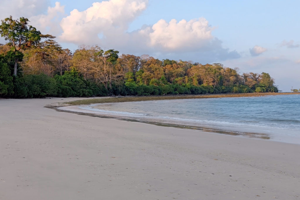 Merk Bay Beach North Passage Island