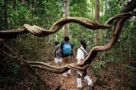 Mount Harriet Trek